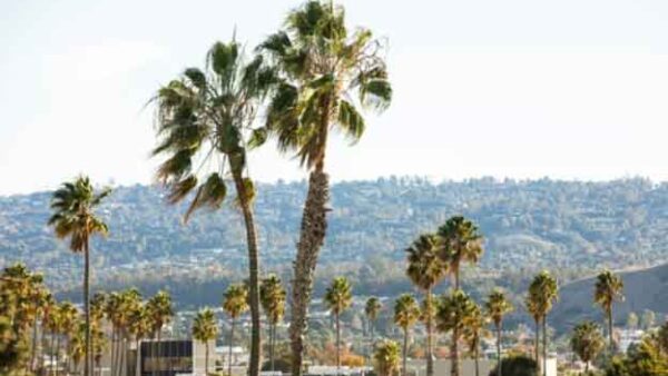 保護中： トーランス・セリトス求人｜ロサンゼルス近郊で働く！日系企業×バイリンガル転職